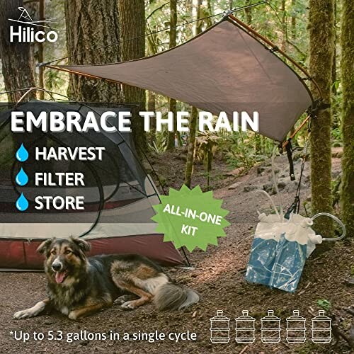 Rainwater harvesting and filtration kit set up in a forest with a tent and a dog nearby.